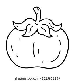Hand drawn doodle tomato isolated on white background. Vector illustration.
