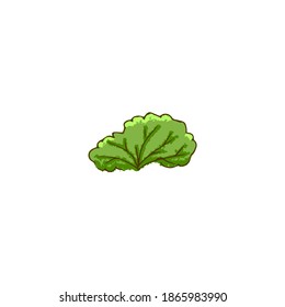 Hand drawn doodle tree, bush. Summer, bright green foliage.