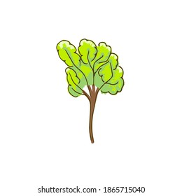 Hand drawn doodle tree. Spring, light green, young, fresh.