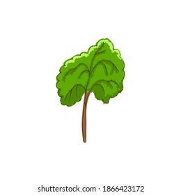 Hand drawn doodle tree. Summer, bright green foliage.