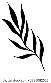 Hand drawn doodle tropical leaf. Black sketch isolated on white background