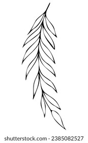 Hand drawn doodle tropical leaf. Black sketch isolated on white background