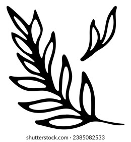 Hand drawn doodle tropical leaf. Black sketch isolated on white background