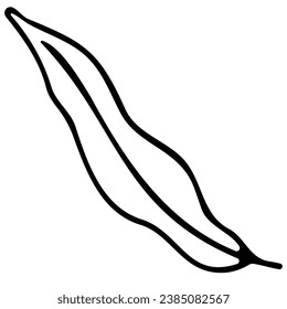 Hand drawn doodle tropical leaf. Black sketch isolated on white background