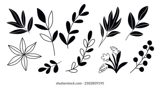 Hand drawn doodle tropical leaves set isolated on white background. Simple doodle style.	