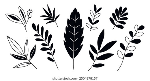 Hand drawn doodle tropical leaves set isolated on white background. Simple doodle style.	