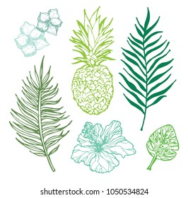 Hand drawn doodle tropical palm tree leaves