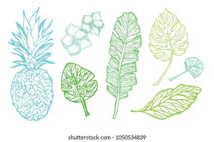 Hand drawn doodle tropical palm tree leaves