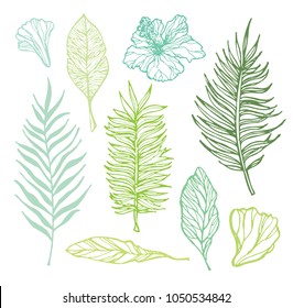Hand drawn doodle tropical palm tree leaves
