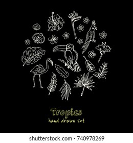 Hand drawn doodle tropics set. Vector illustration. Isolated elements on chalkboard background. Symbol collection.