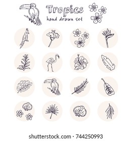 Hand drawn doodle tropics set. Vector illustration. Isolated elements on white background. Symbol collection.