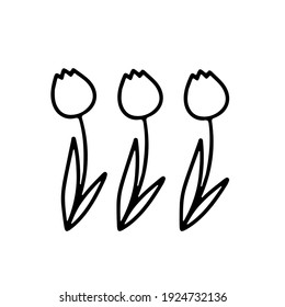 Hand drawn doodle tulip set isolated on white background. Vector sketch illustration. design for card, coloring book, flyer, print