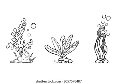 Hand drawn doodle of Underwater seaweed, aquarium.. For prints, labels, seafood, fishing gear. Vector illustration