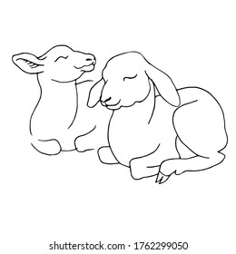 Hand drawn doodle vector of baby sheep. Black and white line art stock illustration.