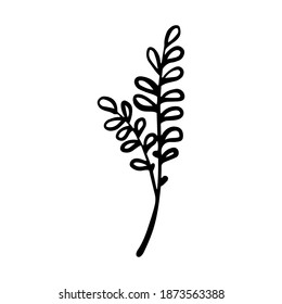 Hand drawn doodle vector branch for posters, greeting cards, web, clothes, wrapping paper. Floral outline element isolated on white background.