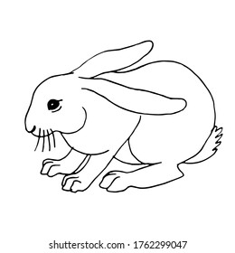 Vector de doodle dibujado a mano de conejito. Ilustración de arte en línea blanca y negra.