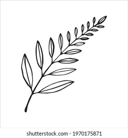 Hand drawn doodle vector icon of a leaf, isolated on white background