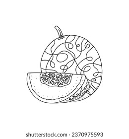 Dibujo manual de la ilustración vectorial del melón sobre fondo blanco. Aplicable a los menús del restaurante o del embalaje, etiquetas, carteles e impresos