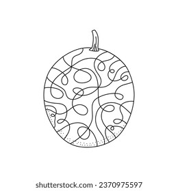 Hand drawn doodle vector illustration of melon on white background. Applicable to restaurant or packaging menus,labels, poster, and print