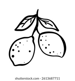 hand drawn doodle vector illustration of a lemon. black outline isolated icon.