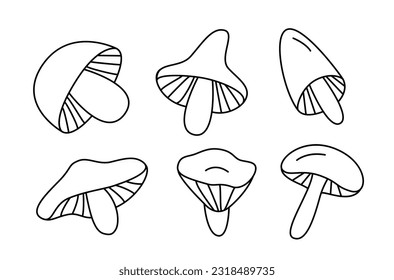 Hand Drawn Doodle Vector Mushrooms. Forest Autumn Harvest. Fall Cute Cartoon Design Elements.