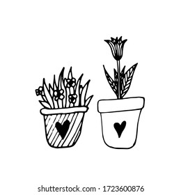 Planta vectorial de doodle dibujada a mano en una taza. Mínima olla con aloe