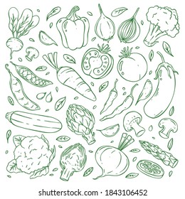 Hand Drawn Doodle Vegetable Collection