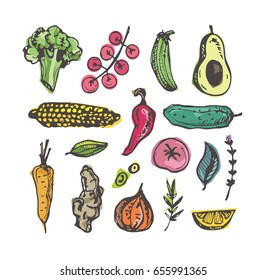 Hand drawn doodle vegetables
