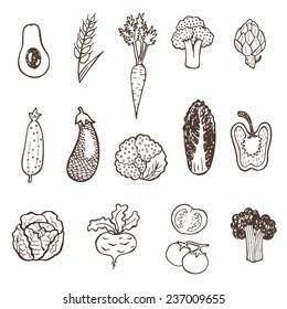 Hand drawn doodle vegetables collection.