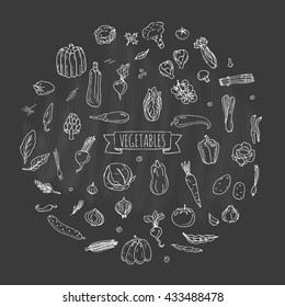Hand drawn doodle vegetables icons set Vector illustration seasonal harvest symbols collection Cartoon different kinds of fresh food Various types of vegan nutrition on blackboard background Sketch