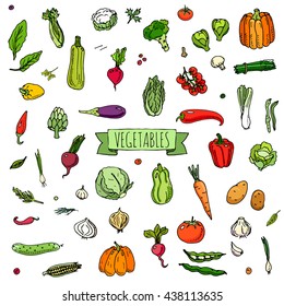 Hand drawn doodle vegetables icons set. Vector illustration seasonal harvest symbol collection Cartoon different kinds of fresh food Various type of vegan nutrition isolated on white background Sketch