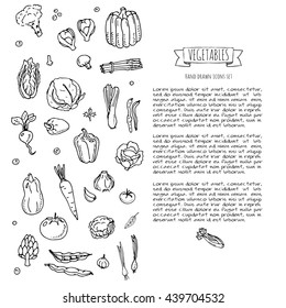 Hand drawn doodle vegetables icons set. Vector illustration seasonal harvest symbol collection Cartoon different kinds of fresh food Various type of vegan nutrition isolated on white background Sketch