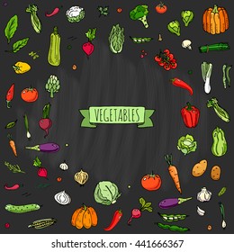 Hand drawn doodle vegetables icons set Vector illustration seasonal harvest symbols collection Cartoon different kinds of fresh food Various types of vegan nutrition on blackboard background Sketch