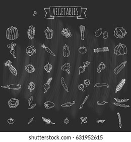 Hand drawn doodle vegetables icons set Vector illustration seasonal veggies symbols collection Cartoon different kinds of vegetables Various types on chalkboard  background Sketchy style