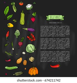 Hand drawn doodle vegetables icons set Vector illustration seasonal veggies symbols collection Cartoon different kinds of vegetables Various types on white background Sketchy style