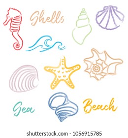 Hand drawn doodle watercolor Seashells and Sea elements set. Vector format