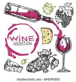 Hand drawn doodle wine collection. Grape and cheese