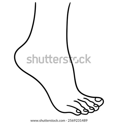 Hand drawn doodle woman's foot isolated on white background. Vector illustration.