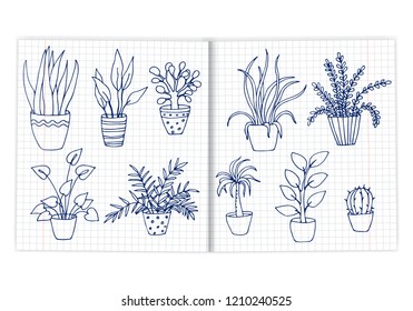 hand drawn doodles of indoor plants on a notepad in a cage