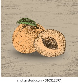 Hand drawn dot apricot illustration