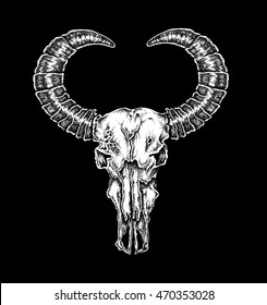 Hand drawn dot work tattoo style buffalo skull. Native american art. Vector illustration on black