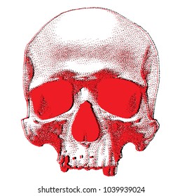 Hand drawn dotted style skull with glitch effect. Vector object isolated on white background
