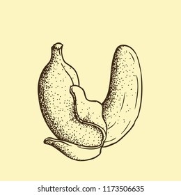 Hand Drawn Dotwork Vector Illustration: Curved banana in the shape of the letter U. Coloring Book Page.