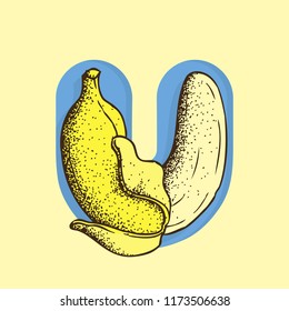 Hand Drawn Dotwork Vector Illustration: Curved banana in the shape of the letter U