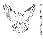 Hand drawn dove outline. Line art style isolated on white background.