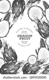 Hand drawn dragon fruit design template. Organic fresh food vector illustration. Retro pitaya fruit banner.