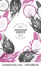 Hand drawn dragon fruit design template. Organic fresh food vector illustration. Retro pitaya fruit banner.