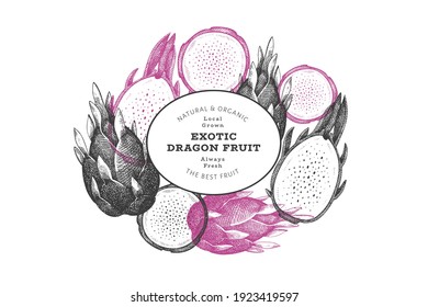 Hand drawn dragon fruit design template. Organic fresh food vector illustration. Retro pitaya fruit banner.