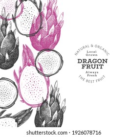 Hand drawn dragon fruit design template. Organic fresh food vector illustration. Retro pitaya fruit banner.
