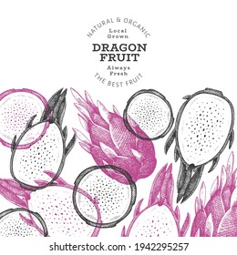 Hand drawn dragon fruit design template. Organic fresh food vector illustration. Retro pitaya fruit banner.